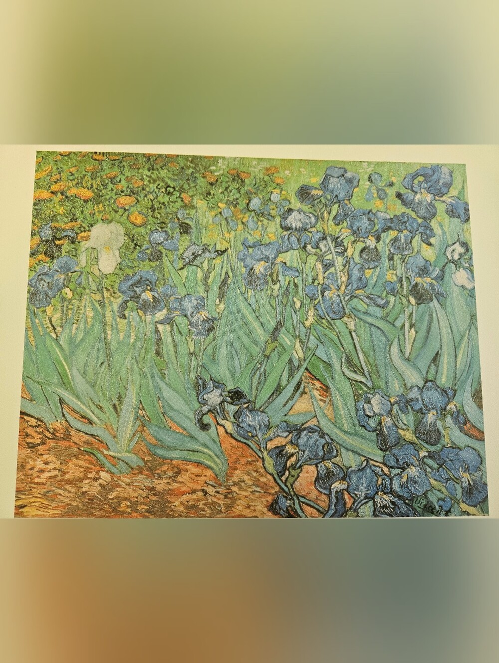Irises by Vincent van Gogh, Printed In France Art Print